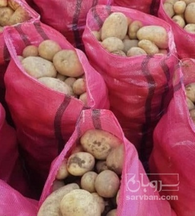 فروش سیب زمینی سانتا