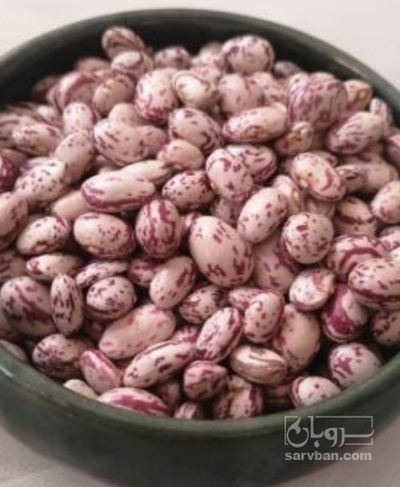 فروش لوبیا چیتی