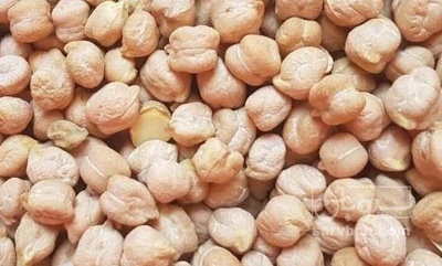فروش نخود