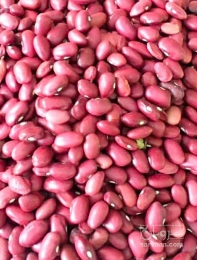 فروش لوبیا قرمز