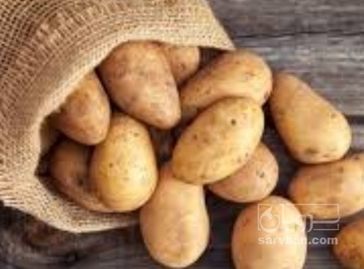 فروش سیب زمینی