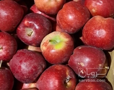 فروش سیب قرمز
