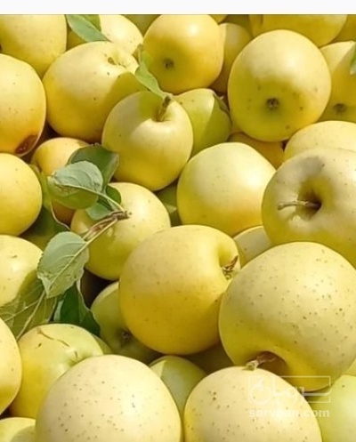 فروش سیب زرد