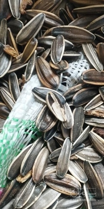 فروش تخمه آفتابگردان بود داده