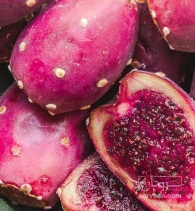فروش میوه کاکتوس (دراگون فروت)