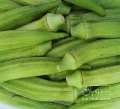 فروش بامیه