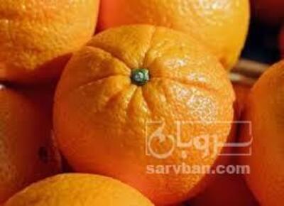 فروش پرتقال واشنگتن