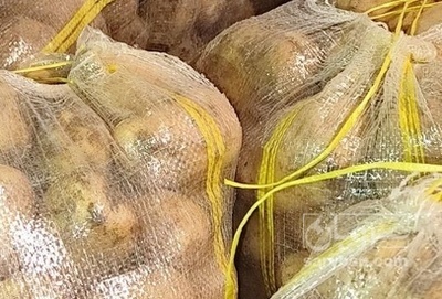 فروش سیب زمینی بامبا