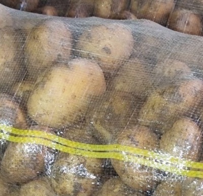 فروش سیب زمینی جلی