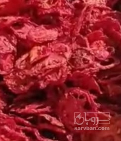 فروش گوجه خشک | سروبان