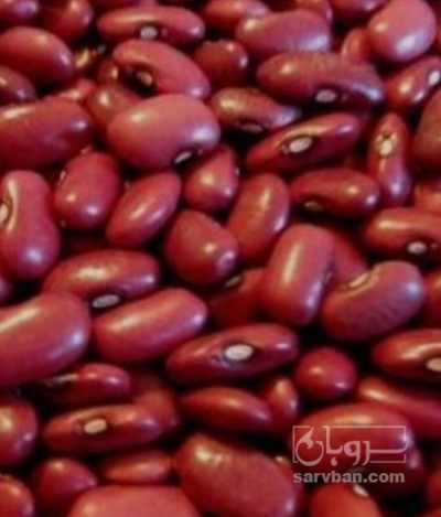 فروش لوبیا قرمز