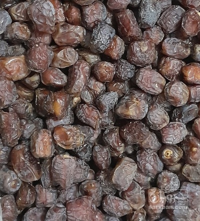 فروش خرما مرداسنگ