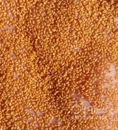 فروش خاکشیر (گیاه‌ دارویی)