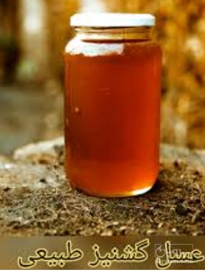 فروش عسل گشنیز