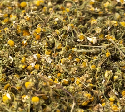 فروش گل بابونه (گیاه‌ دارویی)