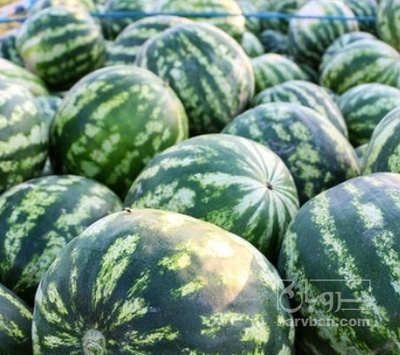 فروش هندوانه