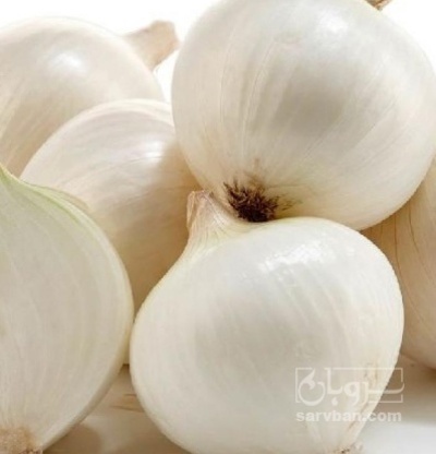 فروش پیاز سفید