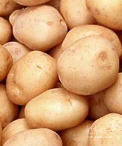 فروش سیب زمینی سانتا