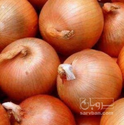 فروش پیاز زرد
