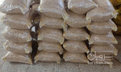 فروش تخمه  کدو بو داده