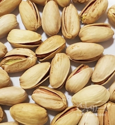 فروش پسته اکبری | سروبان