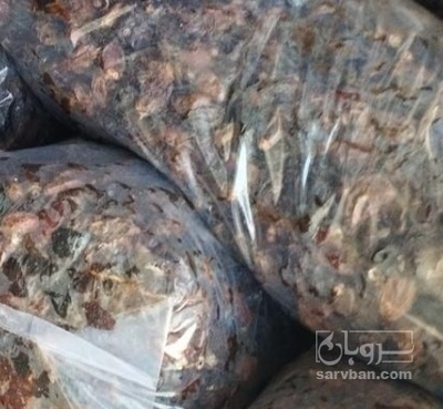 فروش ضایعات  خرما