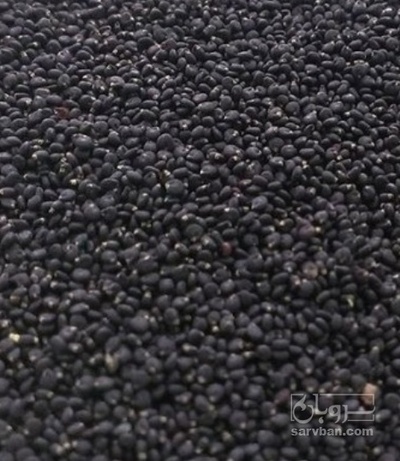 فروش خرفه (گیاه‌ دارویی)