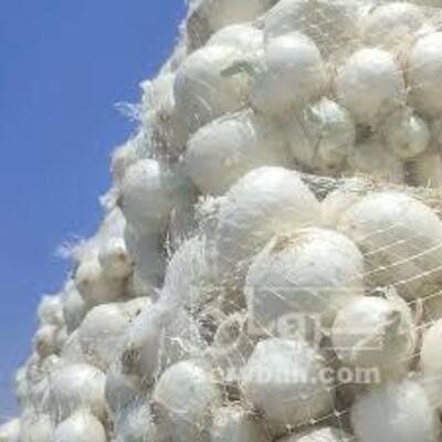 فروش پیازسفید