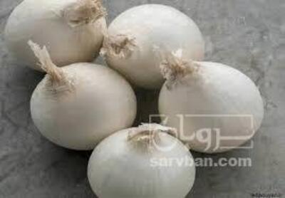 فروش پیازسفید
