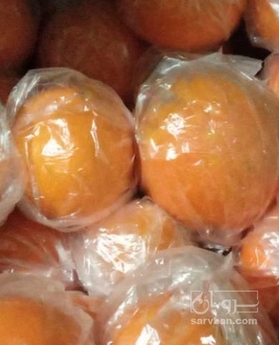 فروش پرتقال تامسون پلاستیک پیچ