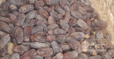 فروش خرما خشک