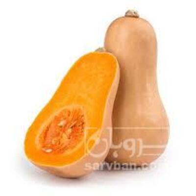 فروش کدو حلوایی