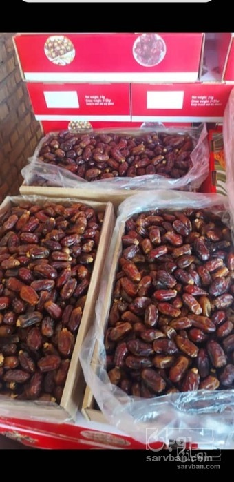 فروش خرمازاهدی