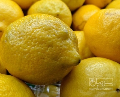 فروش لیموترش سنگی