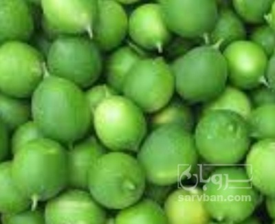 فروش لیمو ترش شیرازی