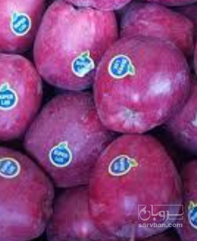 فروش سیب قرمز