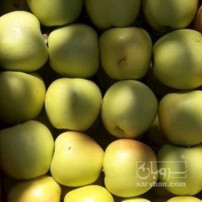 فروش سیب زرد