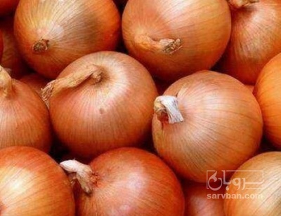 فروش پیاز زرد
