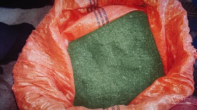 فروش شوید خشک (گیاه‌ دارویی)