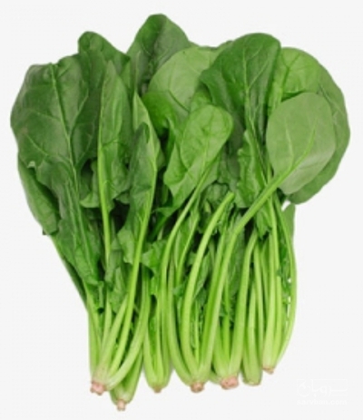 فروش اسفناج