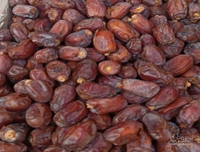 فروش خرماکلوته