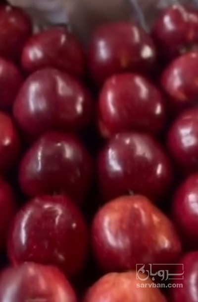 فروش سیب قرمز