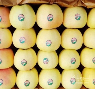 فروش سیب زرد صادراتی