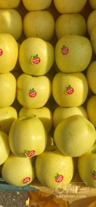 فروش سیب زرد