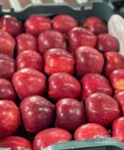 فروش سیب قرمز