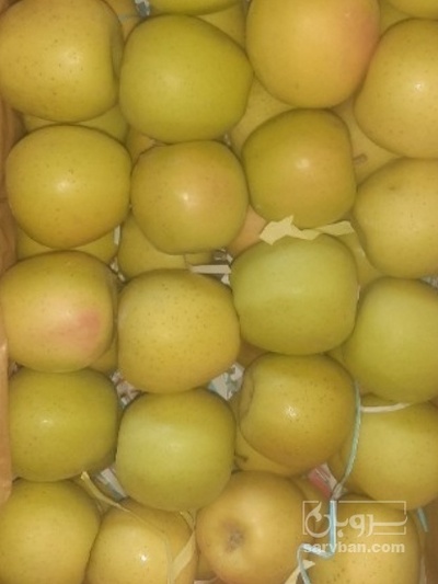 فروش سیب زرد