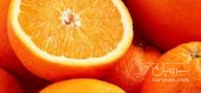 فروش پرتقال