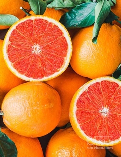 فروش پرتقال خونی