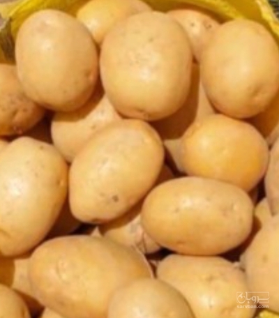 فروش سیب زمینی