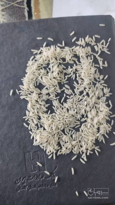 فروش برنج